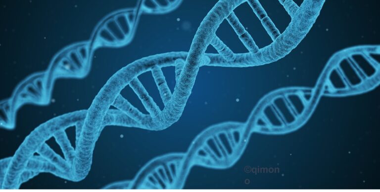 When Cells Rebel: the dark side of evolution
