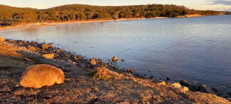 From Cardiff to Maria Island